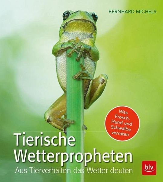 buch wetter tierisch 48104653z