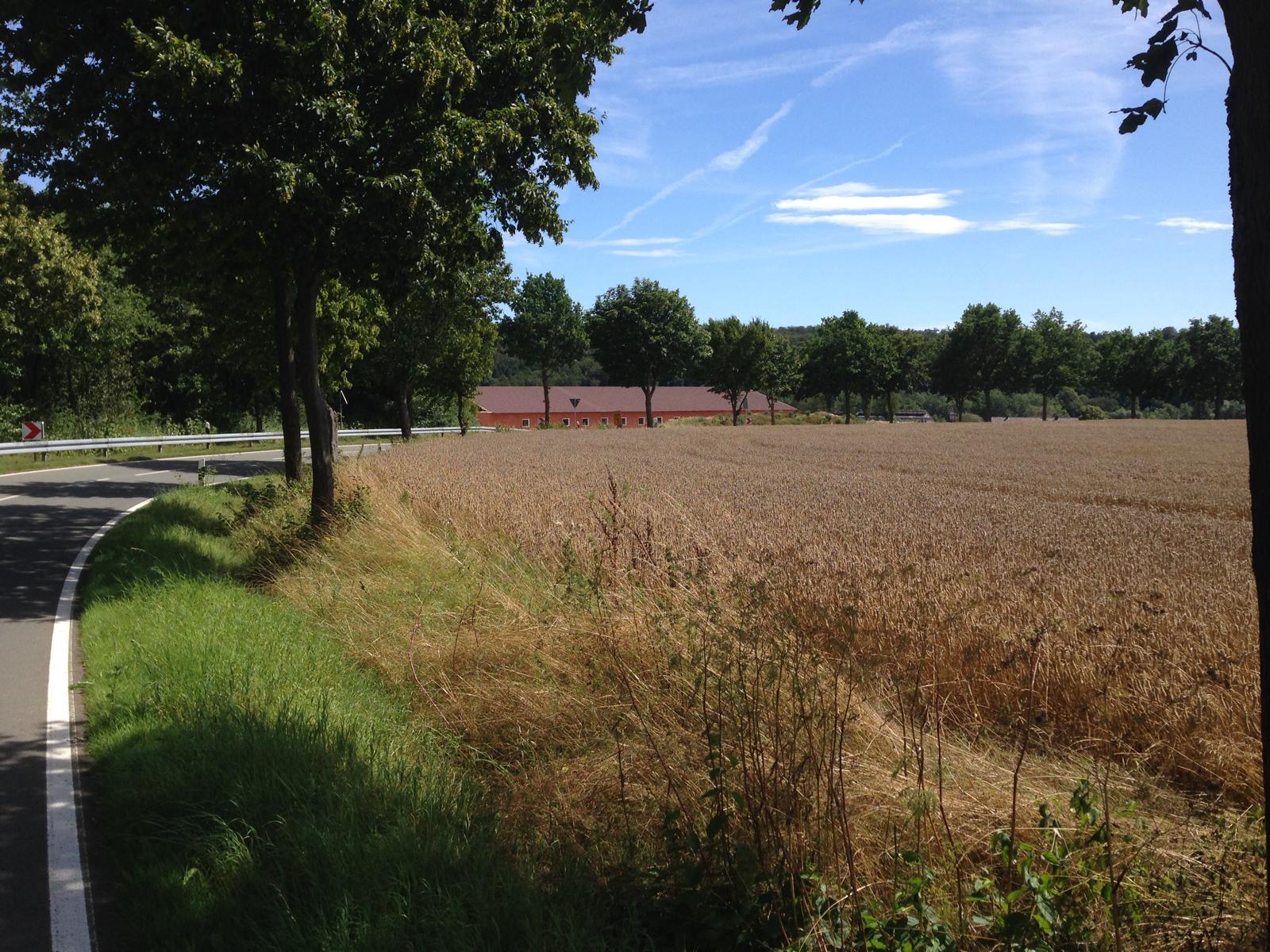neuer stall ruste 1608 2