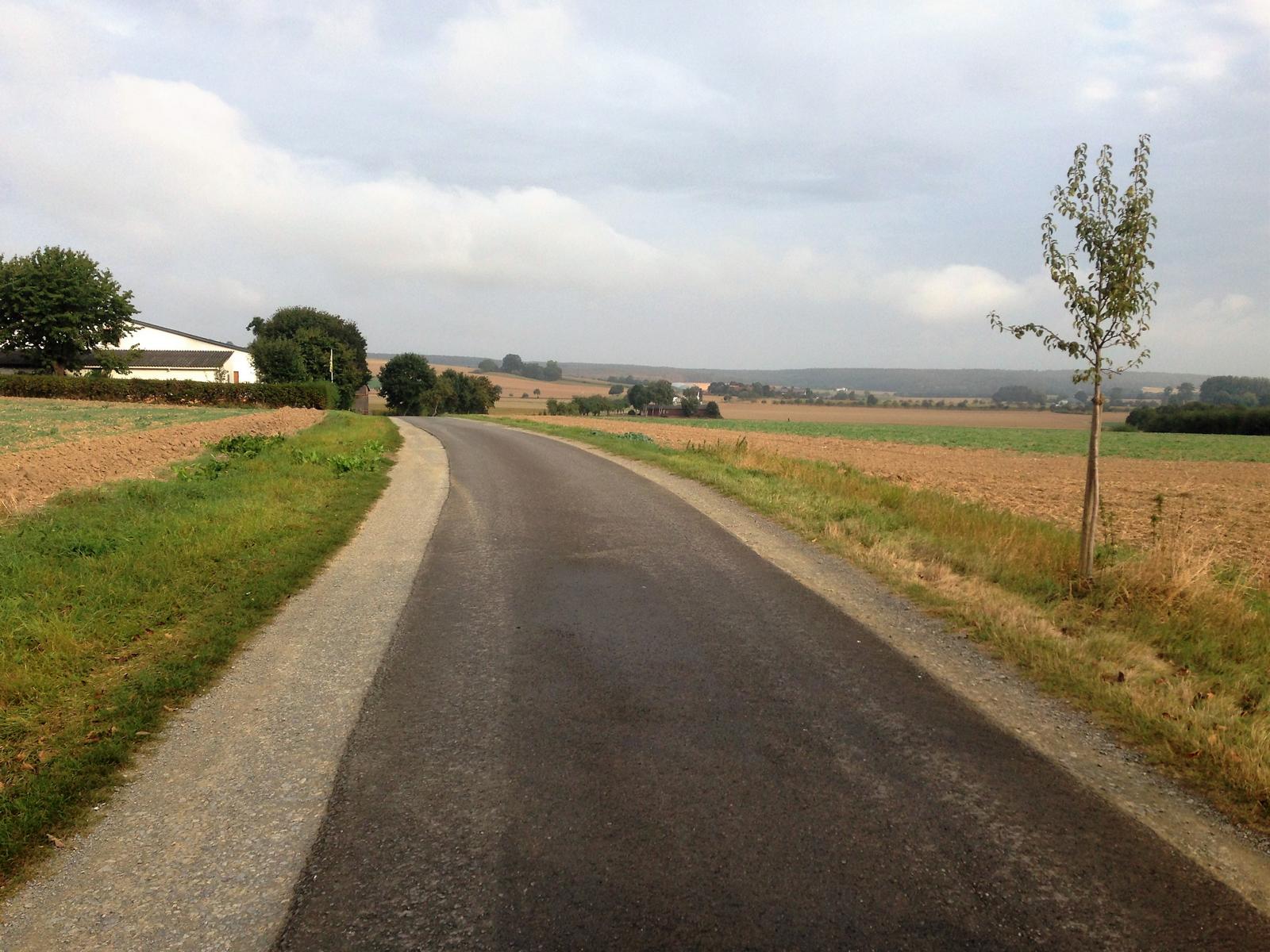 riesel hinteres feld m stall ruste1609