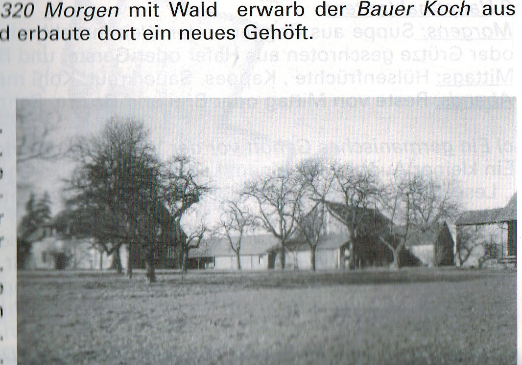 hembsen koch 2012102020