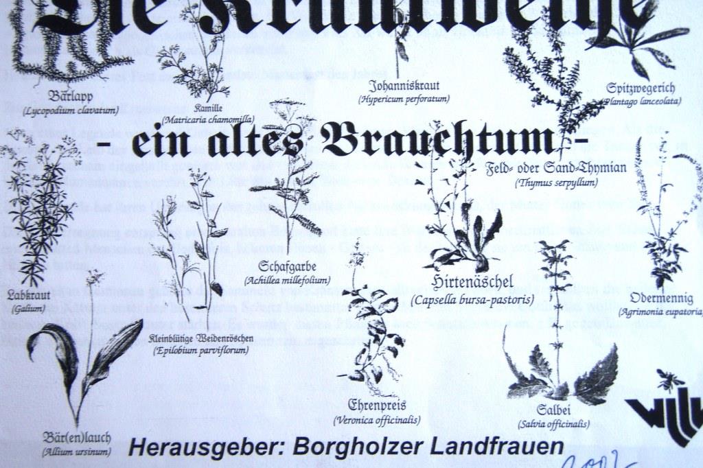 krautbund