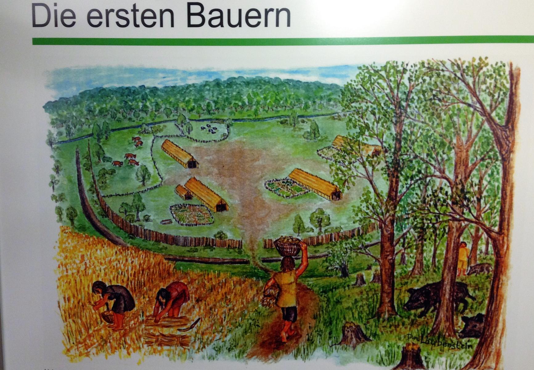 steinzeit siedlung mus warburg 16 10