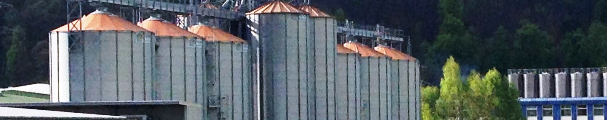 bau corvey silos statistik1605 