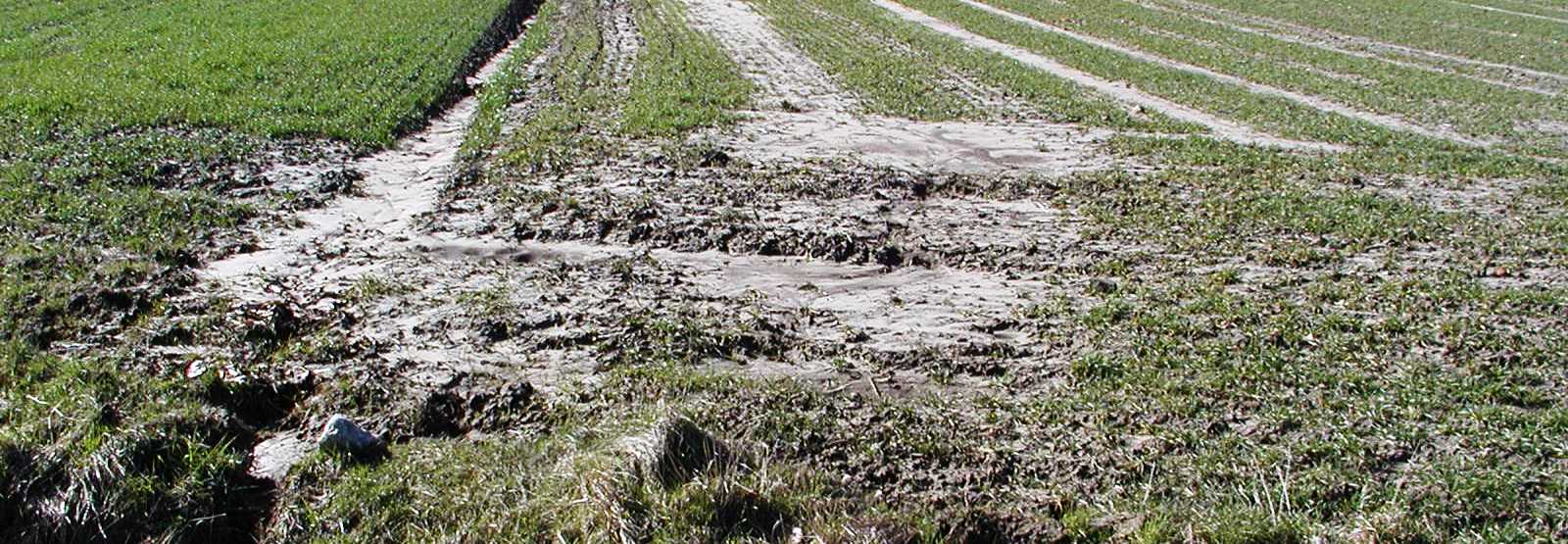 boden erosion 02 vinse