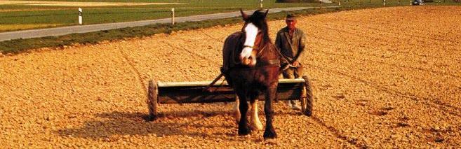 hist pb busch dahl