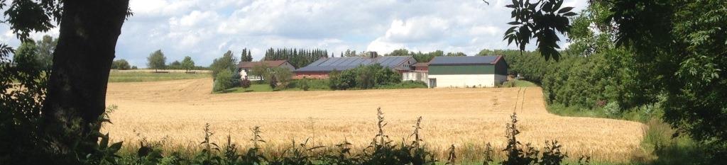 hof in landschaft riesel 1406