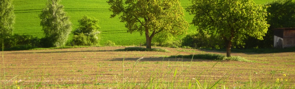 landschaft erkeln 11