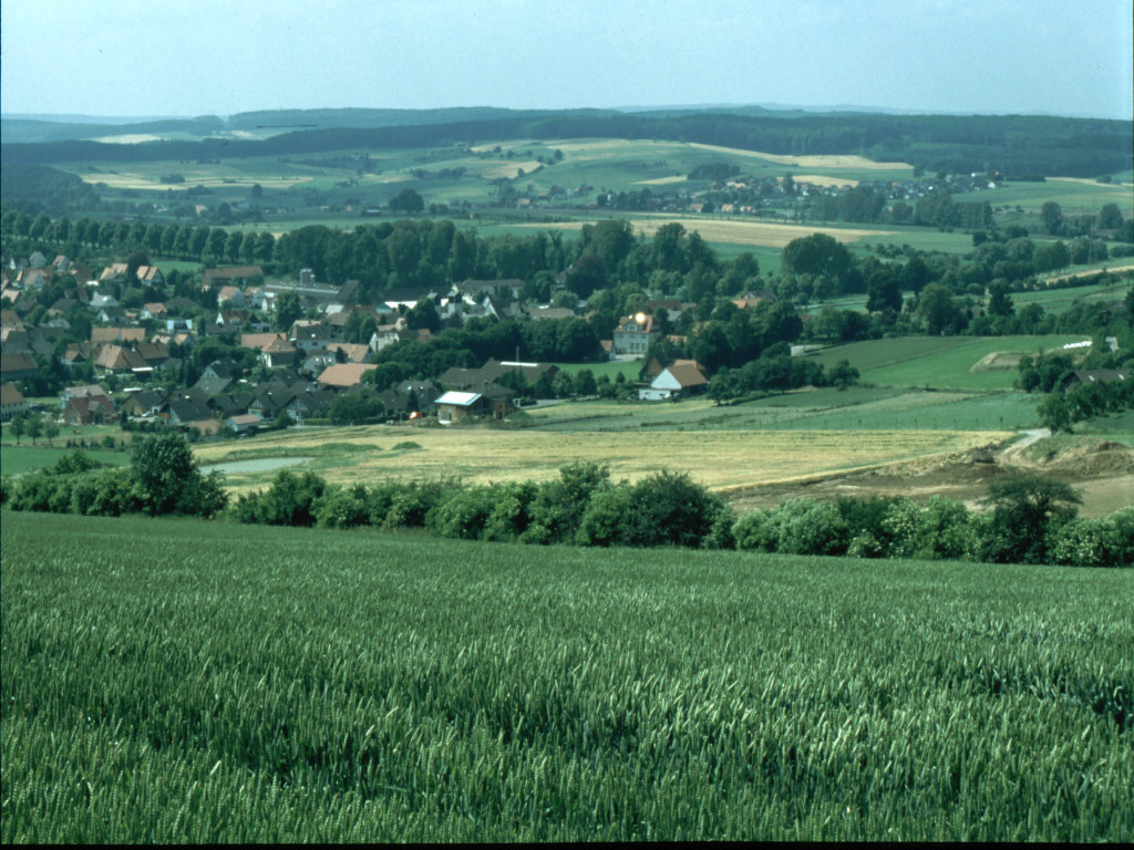 bellersen blick medien 2000