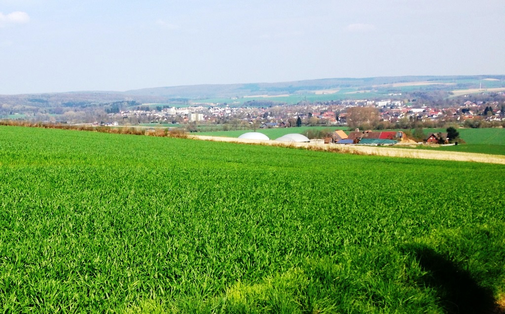 flechtmer berg 1604 5 Kopie