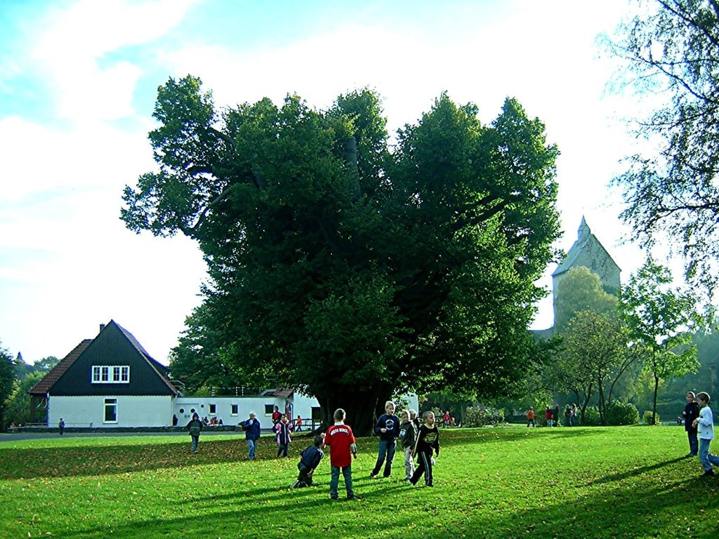 gehrden apostellinde nach chirurg 06 medien 07