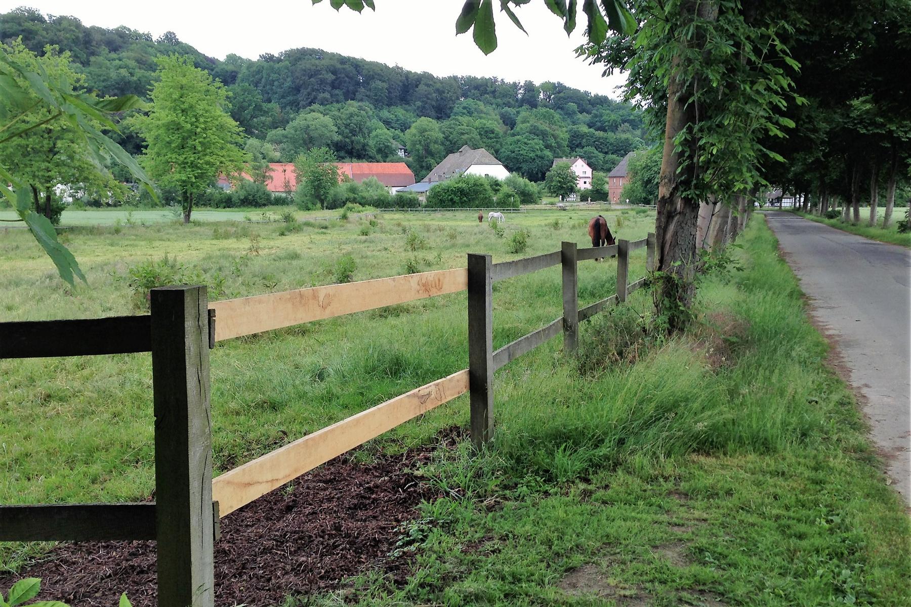 hinnenb 1506 3