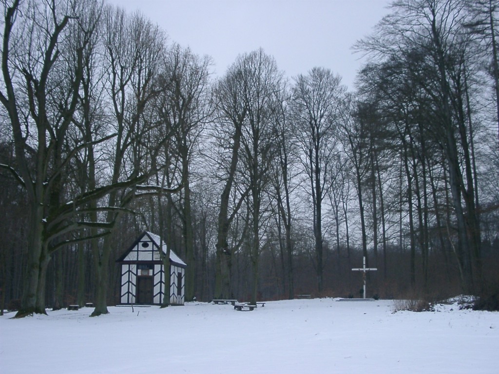 riesel waldkapelle medien 06