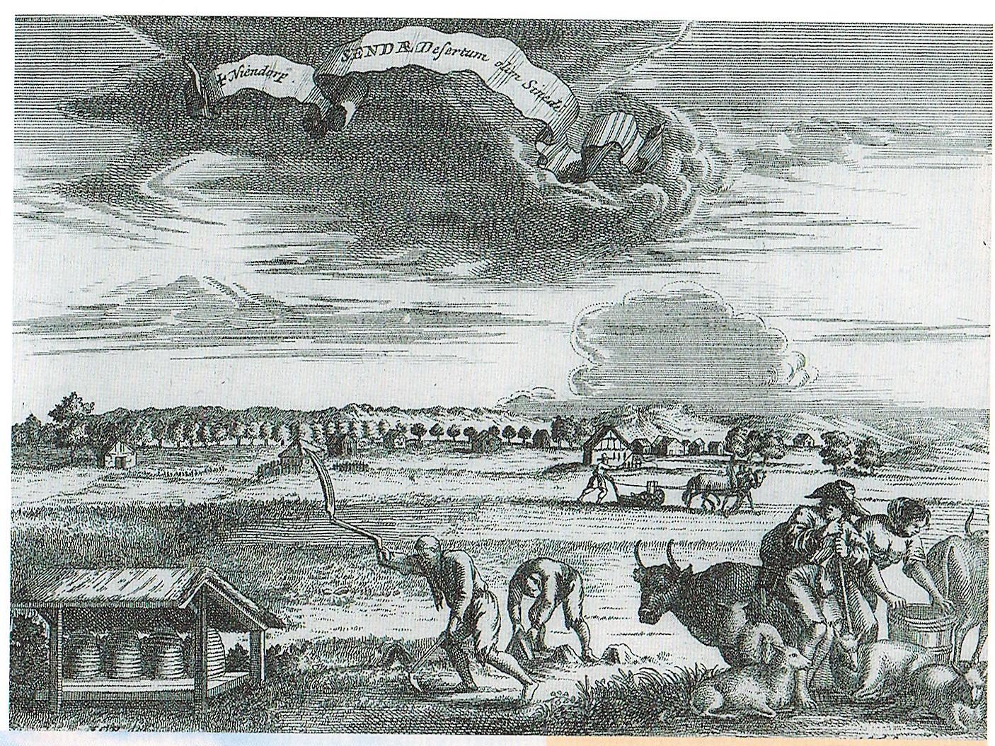 rudolphi landszene07042021