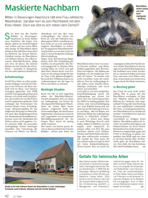 waschbär 2024 03 19 18 11 10 Greenshot